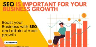 SEO is Important for Your Business Growth